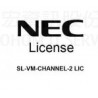 SL-VM-CHANNEL-2 LIC