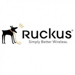 Ruckus ZoneDirector 1200 基地台授權